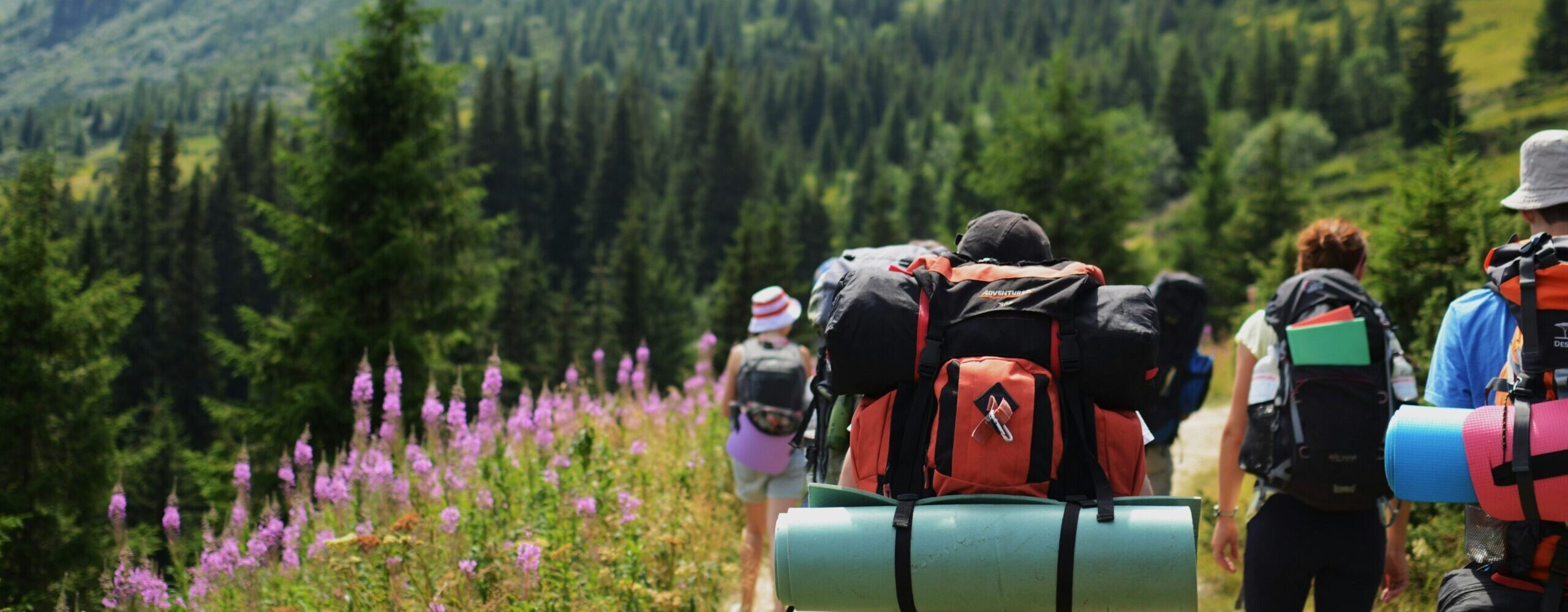 c8830c31d7d79399c9833eb41d7516599e7a34f7